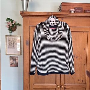 Tommy Hilfiger Blue and White Striped Turtleneck Sweater